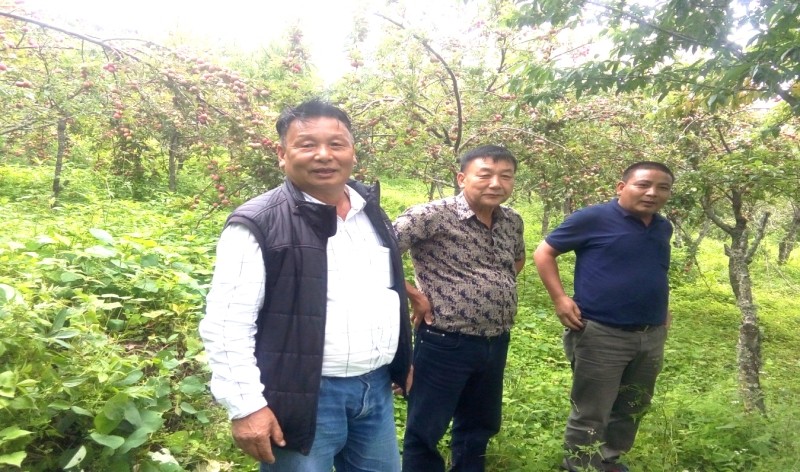 Horticulture Officer, Phek and his team during their visit to Zhavame village amidst on July 25.